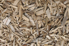 biomass boilers Dane Bank
